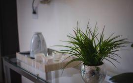 Gallery - Equipe / Estrutura - 3