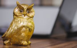 Gallery - Equipe / Estrutura - 15